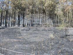 Снимка: Областна администрация Русе 