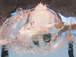 Singapore Swimming Worlds