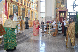 Монтана - митрополит Пахомий