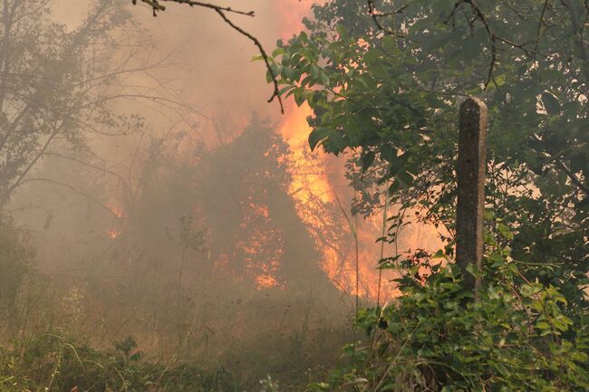 Голям пожар бушува в непосредствена близост до Русе, двама души са обгазени 
