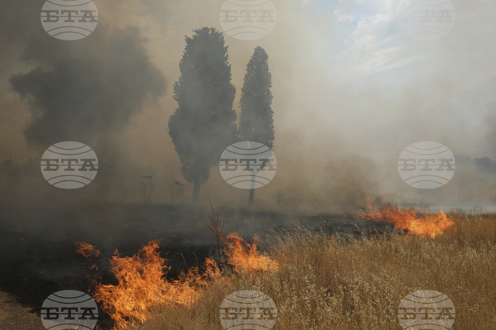 Montenegro Wildfires