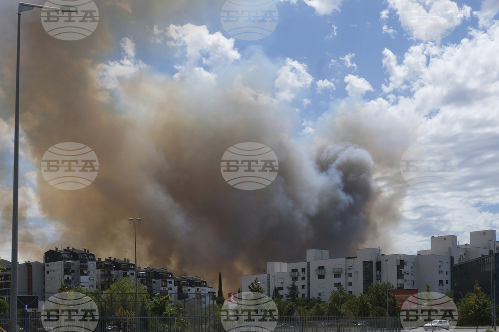Montenegro Wildfires