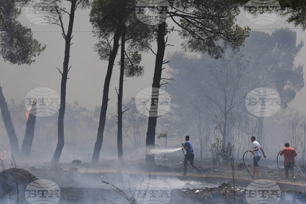 Montenegro Wildfires