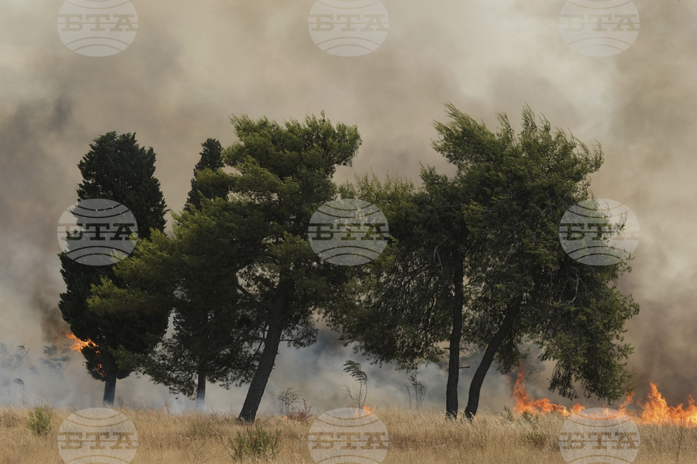 Montenegro Wildfires