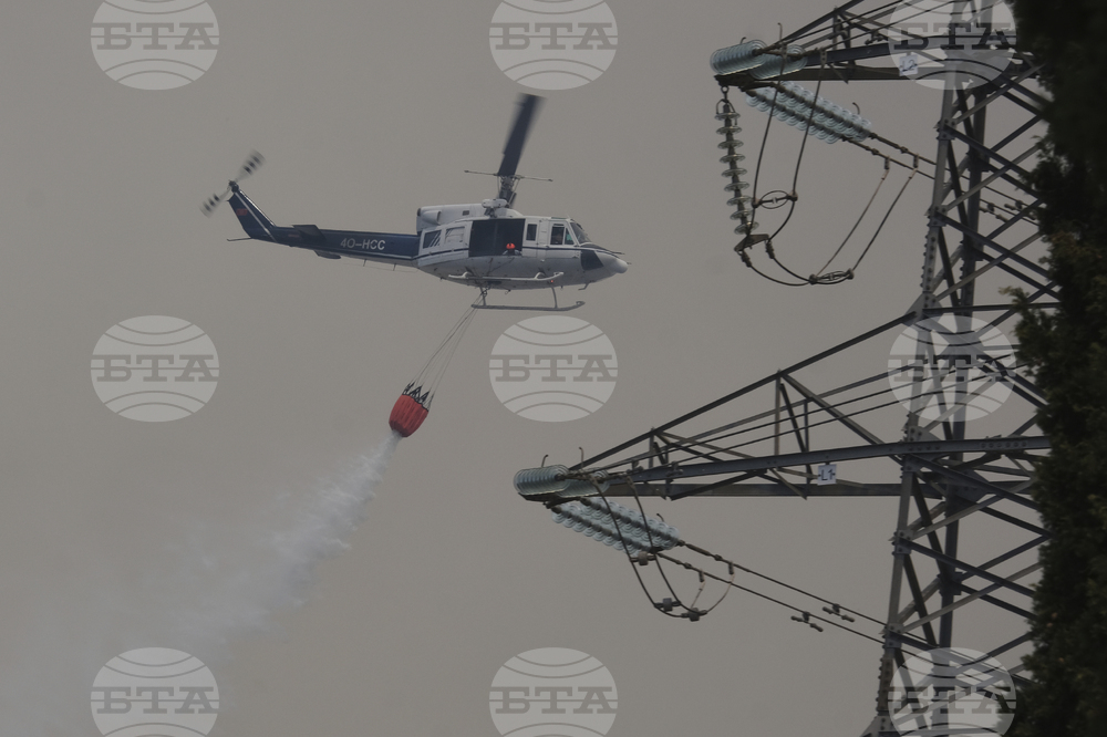 Montenegro Wildfires