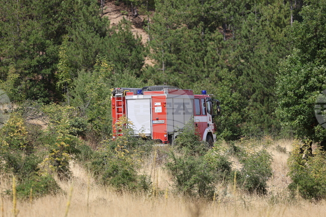 Пожарът в района на симитлийското село Сенокос е локализиран