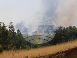 Симитли - пожар