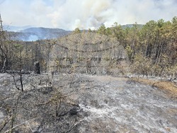 Село Илинденци - пожар