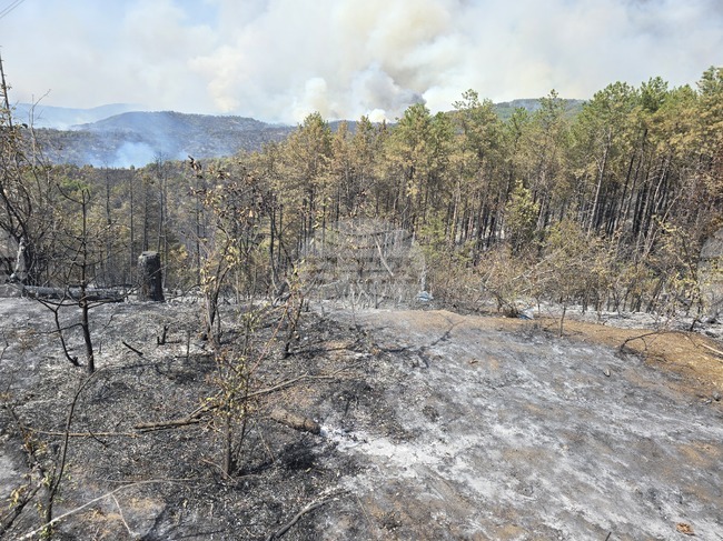 Съвместна кампания за превенция от пожари започват Югозападното държавно предприятие и регионалната дирекция на пожарната