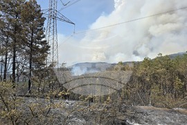 Село Илинденци - пожар