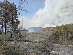 Село Илинденци - пожар