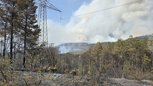 Strong Winds Halt Firefighting Efforts near Ilindentsi