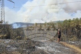 Село Илинденци - пожар
