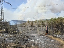 Село Илинденци - пожар