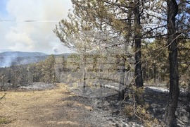 Село Илинденци - пожар