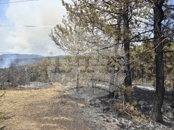 Село Илинденци - пожар