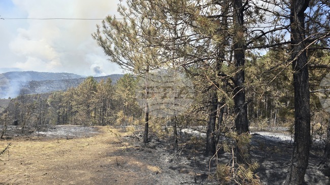 Военнослужещите ще продължат да помагат в гасенето на пожара в Илинденци, докато е необходимо, каза командирът на Трето бригадно командване 