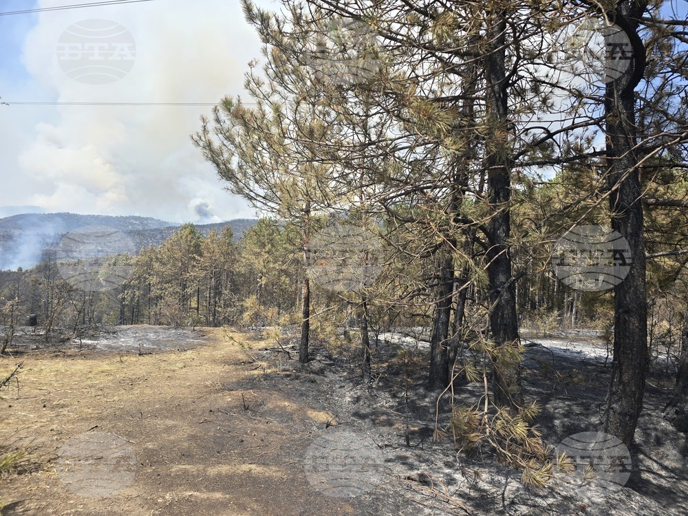 Военнослужещите ще продължат да помагат в гасенето на пожара в Илинденци, докато е необходимо, каза командирът на Трето бригадно командване 