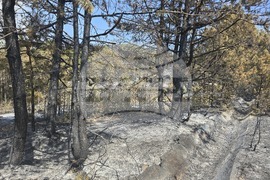 Село Илинденци - пожар