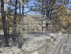 Село Илинденци - пожар