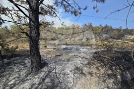 Село Илинденци - пожар