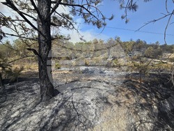 Село Илинденци - пожар