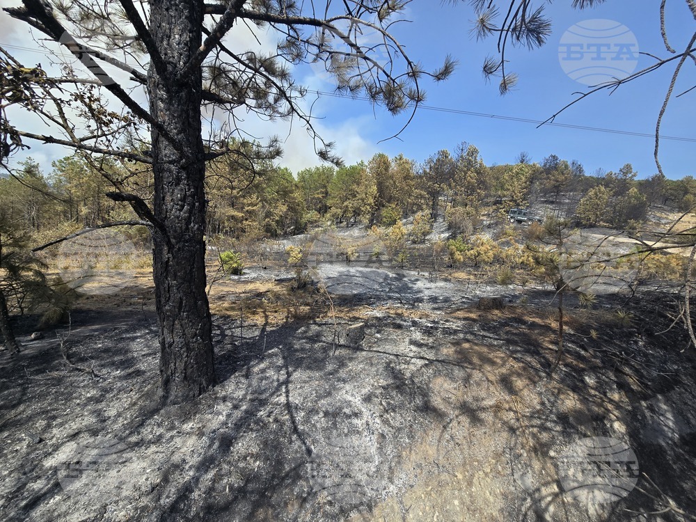 Село Илинденци - пожар