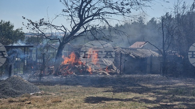 Serbia Unable to Assist Neighbors Amid Critical Wildfire Situation