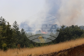 Симитли - пожар