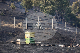 Симитли - пожар