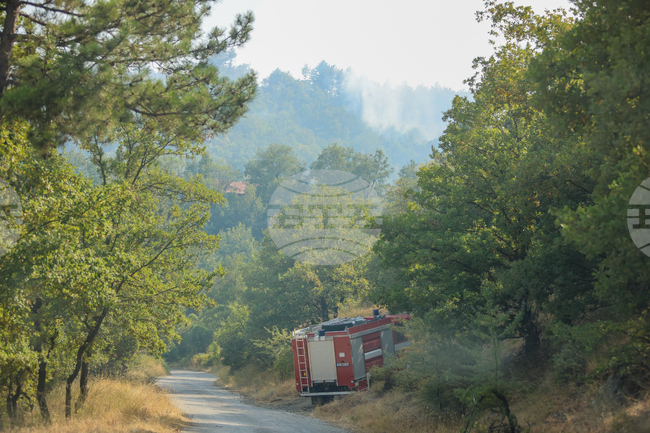 Пожар е избухнал в района на симитлийското село Сенокос