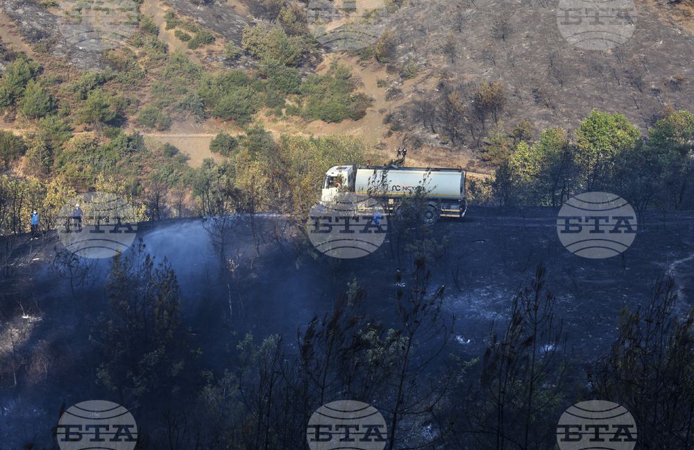 Turkey Wildfires