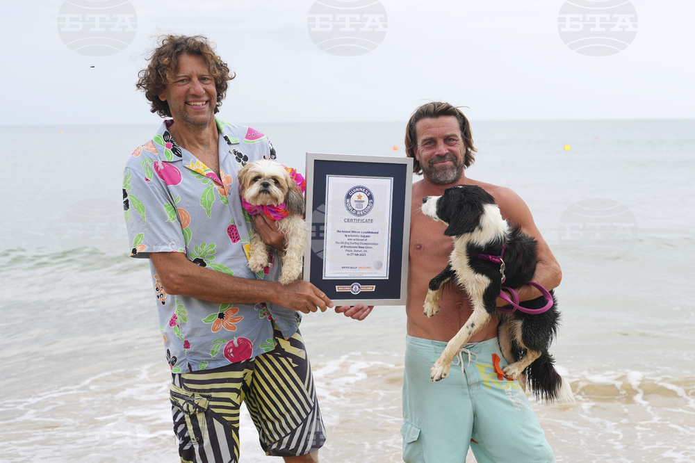 Britain Dog Surfing