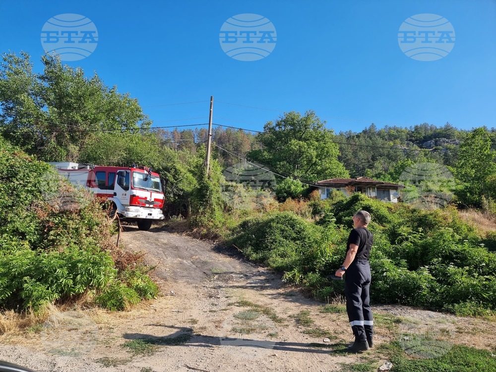 Пожарът между кварталите „Бузлуджа“ и „Чолаковци“ във Велико Търново е бил запален умишлено, съобщи кметът Даниел Панов