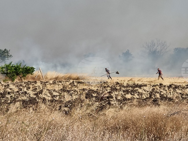 Пожар гори между селата Стройно, Борисово и Бояново в Елховско