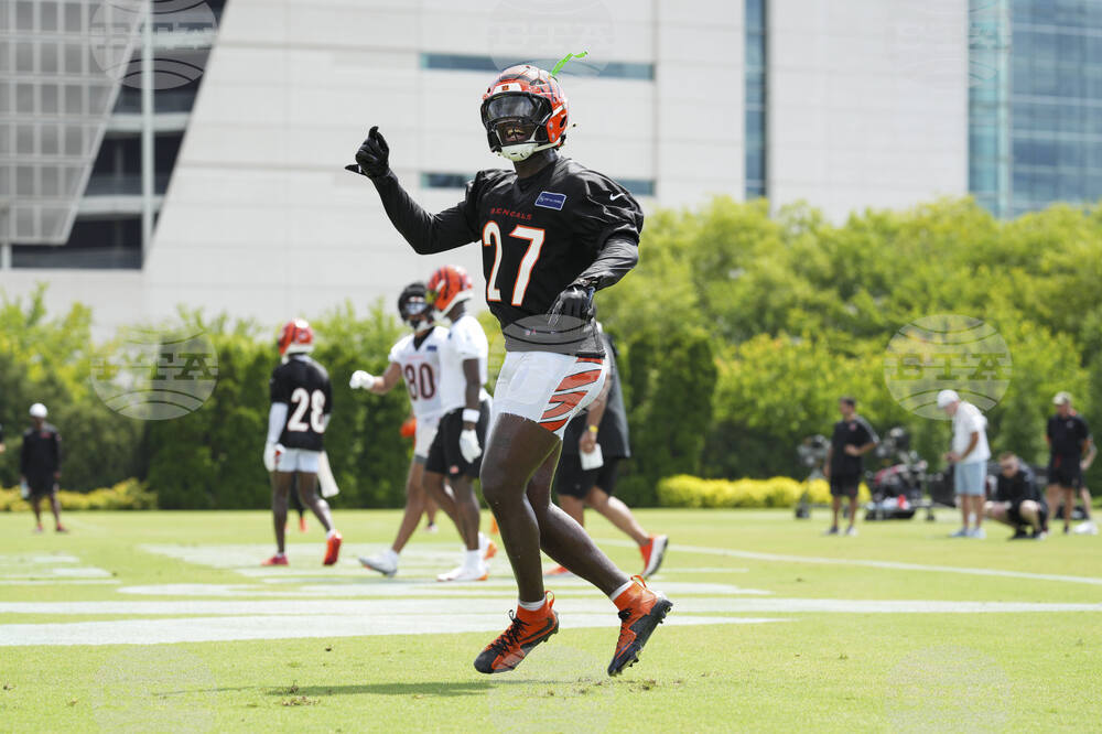 Bengals Camp Football
