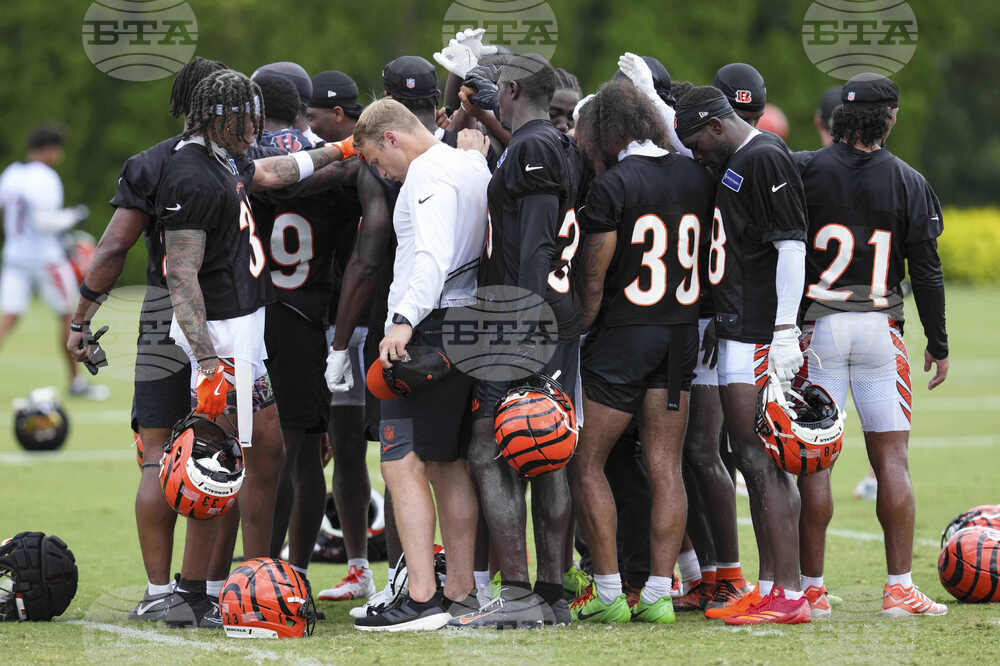Bengals Camp Football