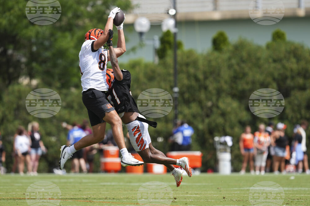 Bengals Camp Football