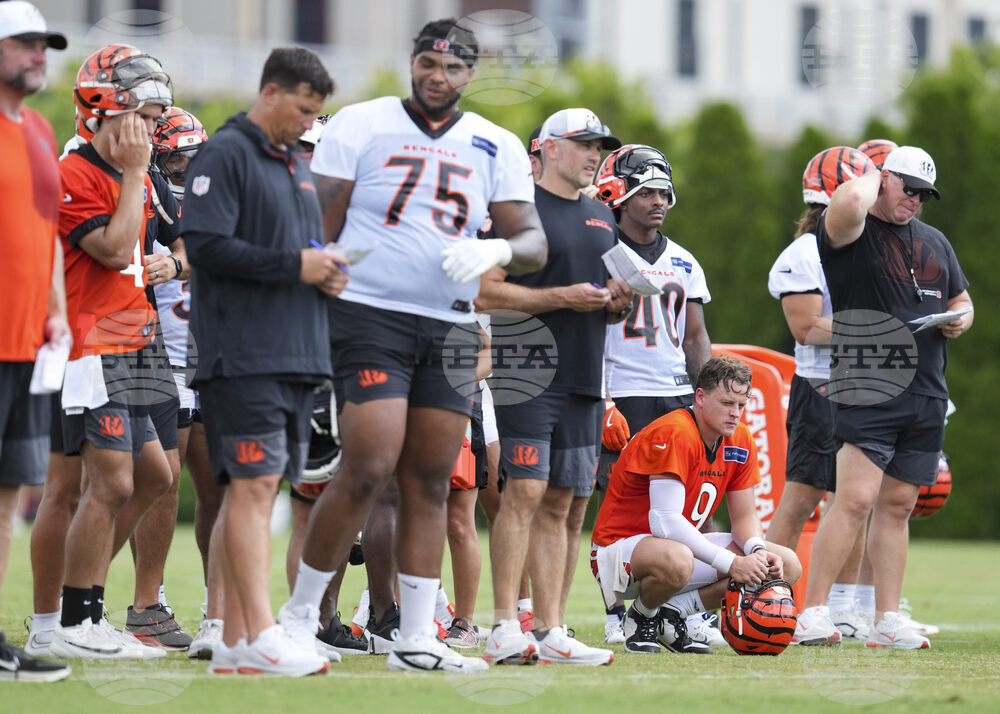 Bengals Camp Football