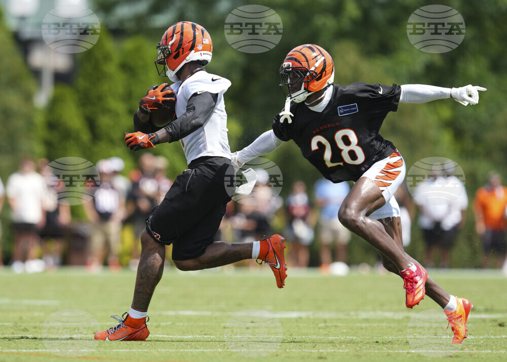 Bengals Camp Football
