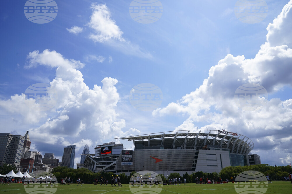 Bengals Camp Football