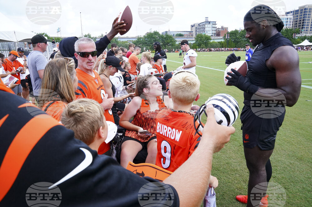 Bengals Camp Football