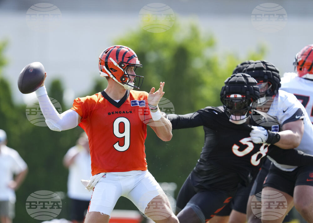 Bengals Camp Football
