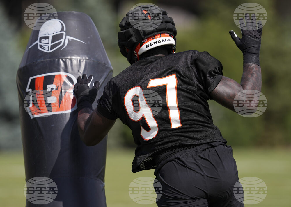 Bengals Camp Football