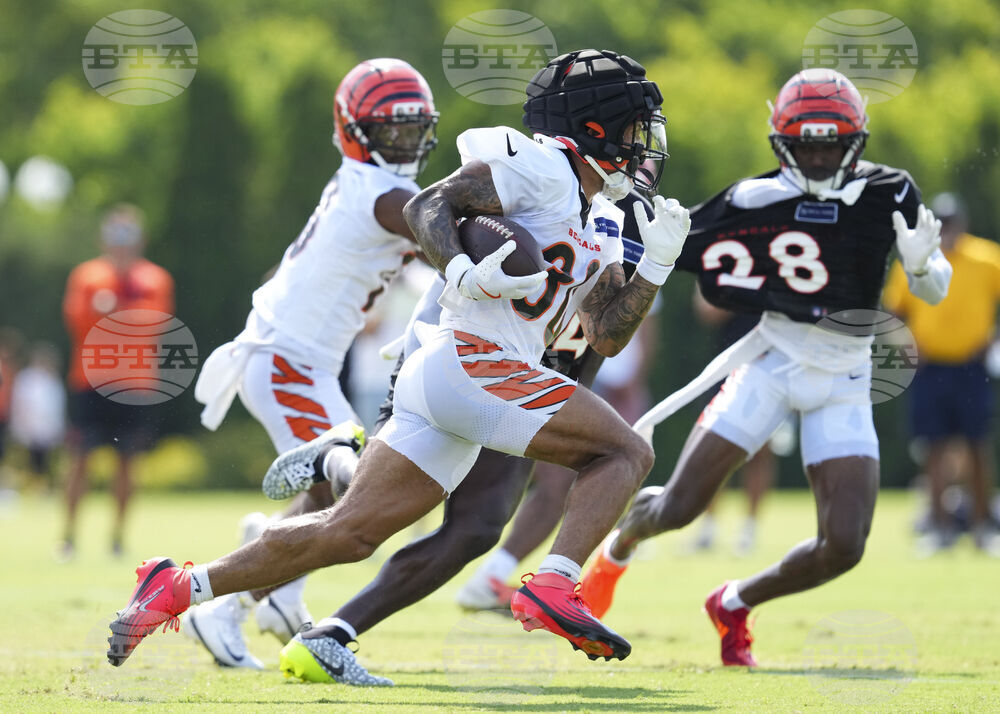 Bengals Camp Football