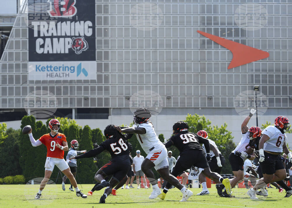 Bengals Camp Football