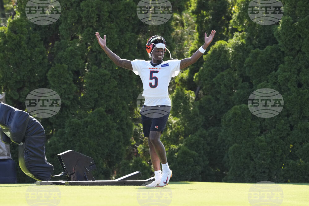 Bengals Camp Football
