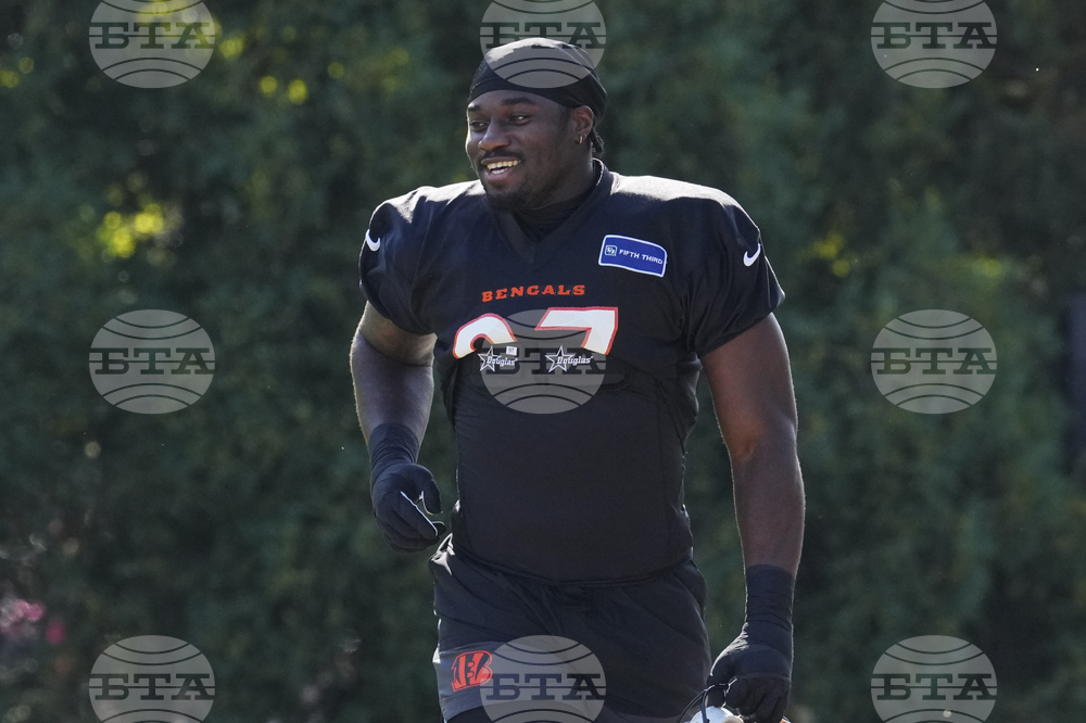 Bengals Camp Football