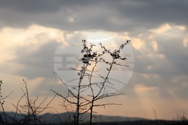 Село Иваняне - пожар