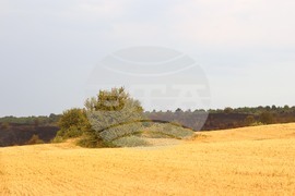 Село Иваняне - пожар